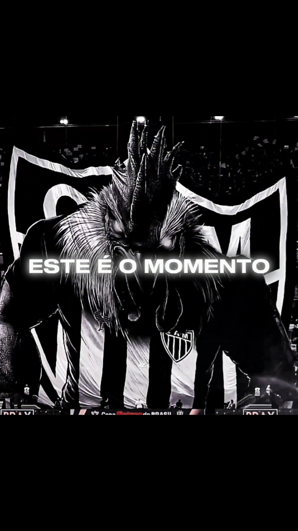 Hoje é o Dia! Vamos Galo, a Massa merece dms!!  #virał #atleticomineiro #galo 