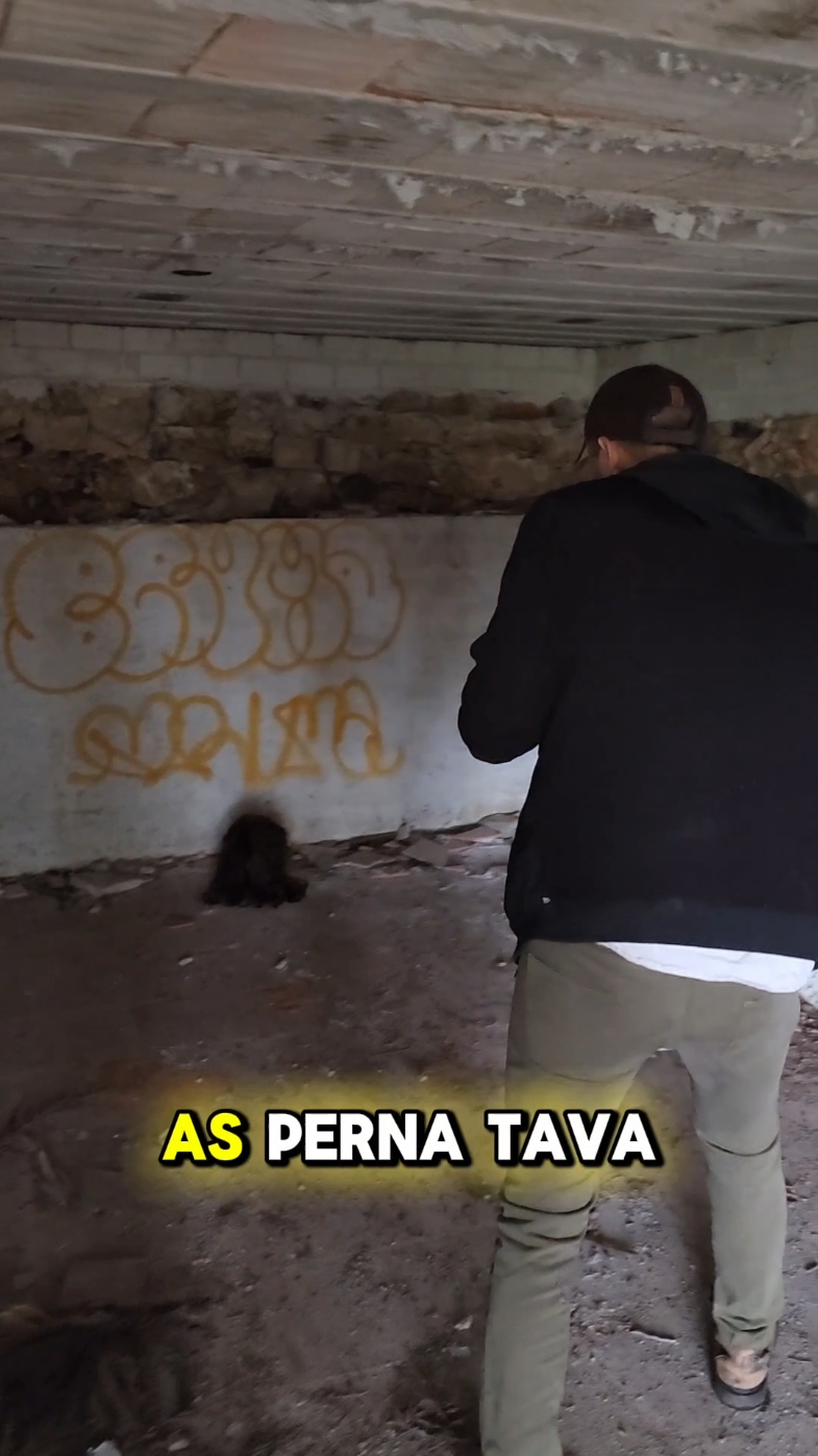 oque achei no porão da casa abandonada pt 3 #casaabandonada #casaassombrada #lugaresabandonados