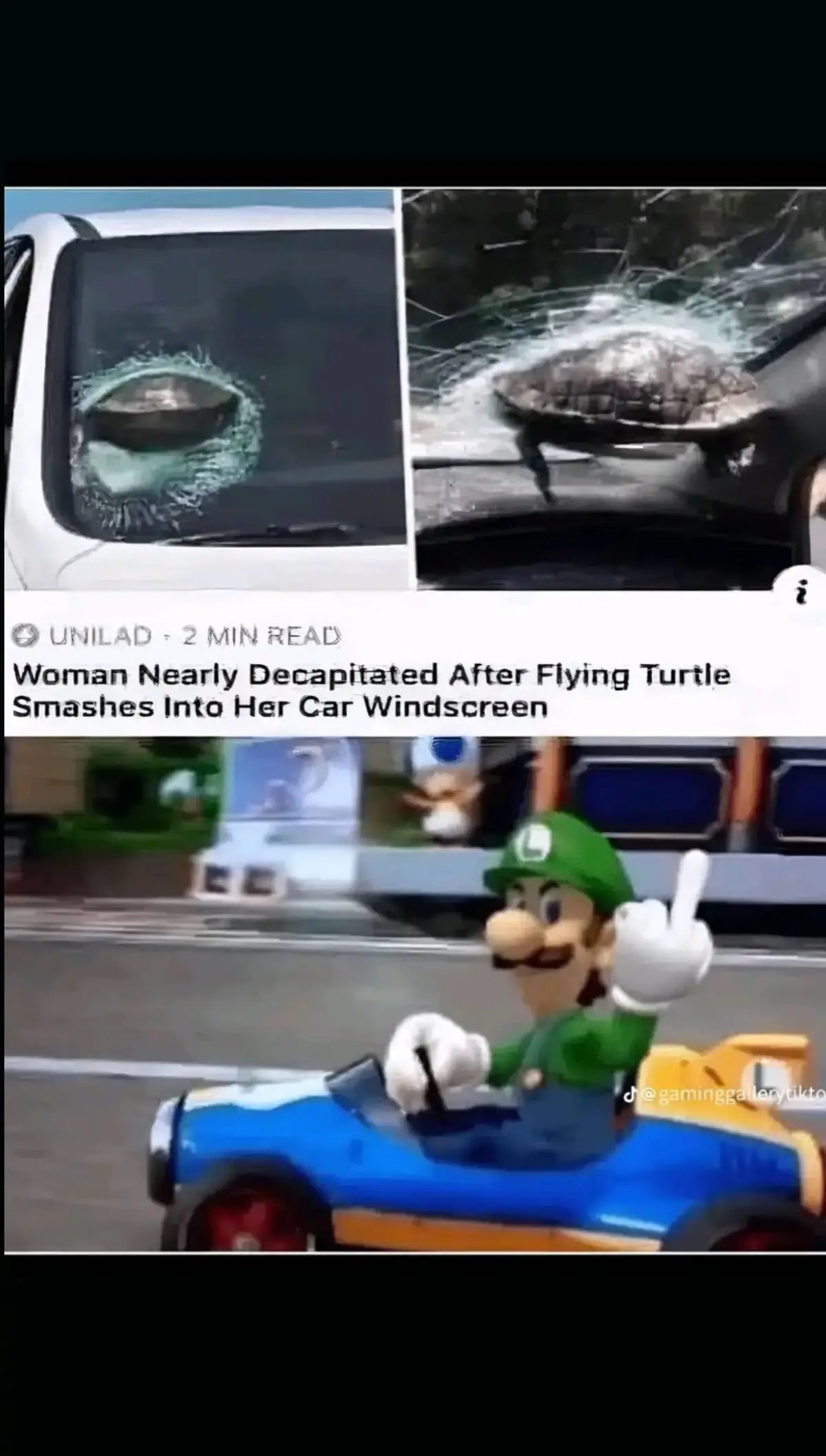 No loigi #luigi#car#turtel#meme#fyp 