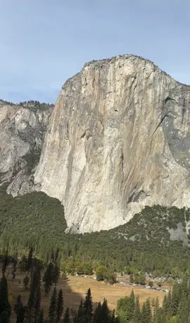 🌲Yosemite🍁 @Maxi Curnow #yosemite 