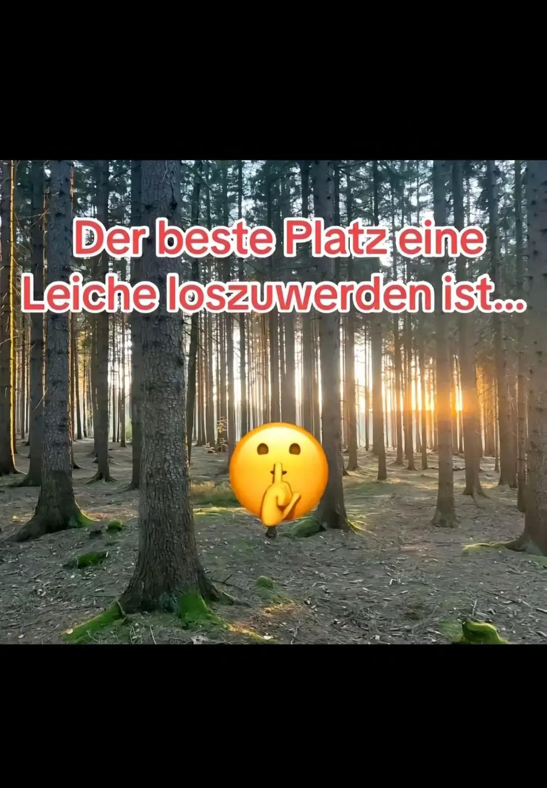 Jetzt entlarven wir alle Psyschos 😂 #funnytiktok #funnyvideos #fyp #fürdich #funn #foryoupage 