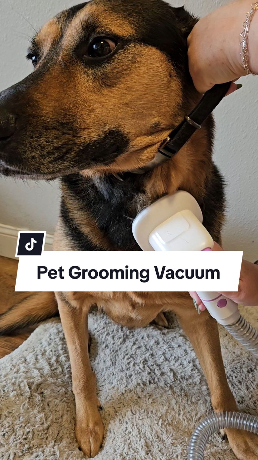 This pet grooming vacuum is so cool!! I never knew these existed, I got this for my sister because she has 2 dog that shed like crazy, we got so much hair off of them it was insane and there was NO mess! You've gotta get this for your pets or someone you know that needs a pet vacuum for Christmas! #petgrooming #groomingtool #PetVacuum #creatorsearchinsights  #FallDealsForYou #TikTokShopCyberMonday #TikTokShopBlackFriday #TikTokShopHolidayHaul  #TreasureFinds #CozyCountdown  #doggrooming #pethairremoval #dogsoftiktok  #petcare #petgroomingvacuum  #doggroomingvacuum 