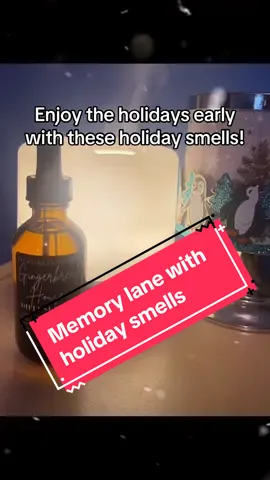 Enjoy the smells of the holidays with these amazing smells from @Mavwicks Fragrances LLC  #mavwicks #diffuseroil #diffuser #housesmellsamazing #smellsgood #holidays #tiktokshop 
