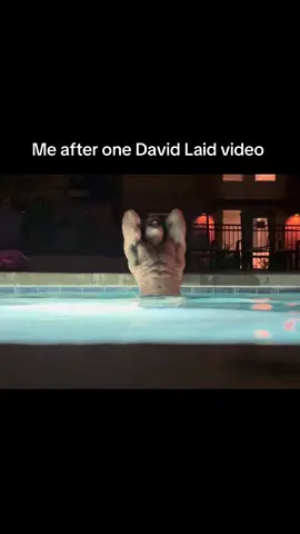 #davidlaid #fyp #gymshark #gym 