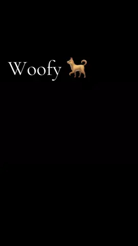 Qui connait WOOFY le chien peluche ? Perso je connaissais pas 😅 grace a vous j’en découvre tous les jours #woofy #anciennegeneration #dessinanimé #annee902000 