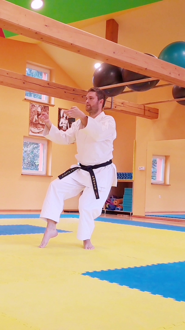 Kata UNSU slow #karateacademy #karatetraining #shotokankata #livestream 