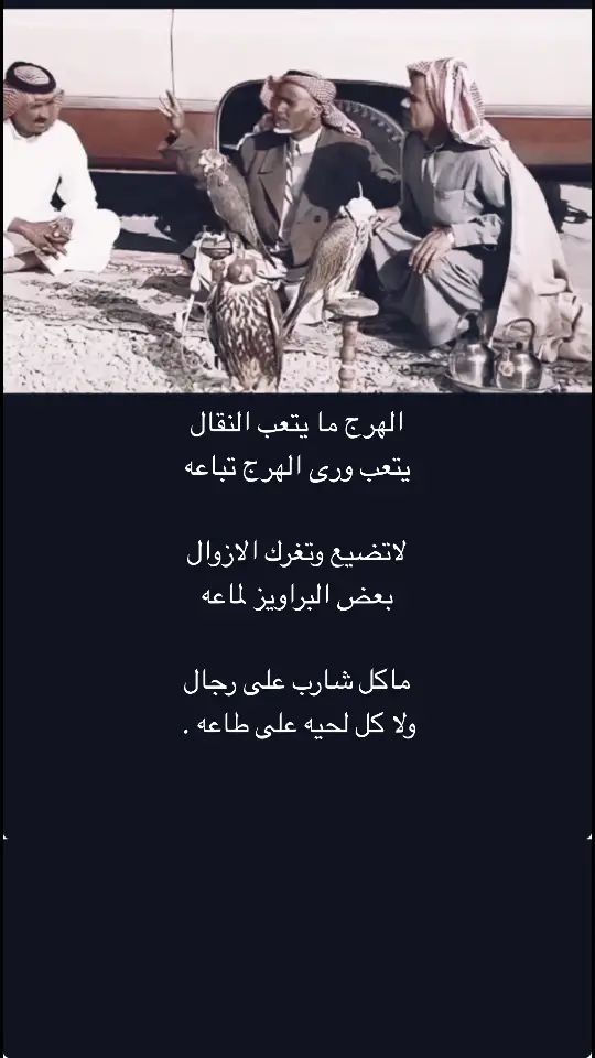 #شايب #النداوي🇶🇦 #اكسبلورexplore #قصيده_شعر_بوح_كلام_من_ذهب #الشعب_الصيني_ماله_حل😂😂 #متابعه #لايك 