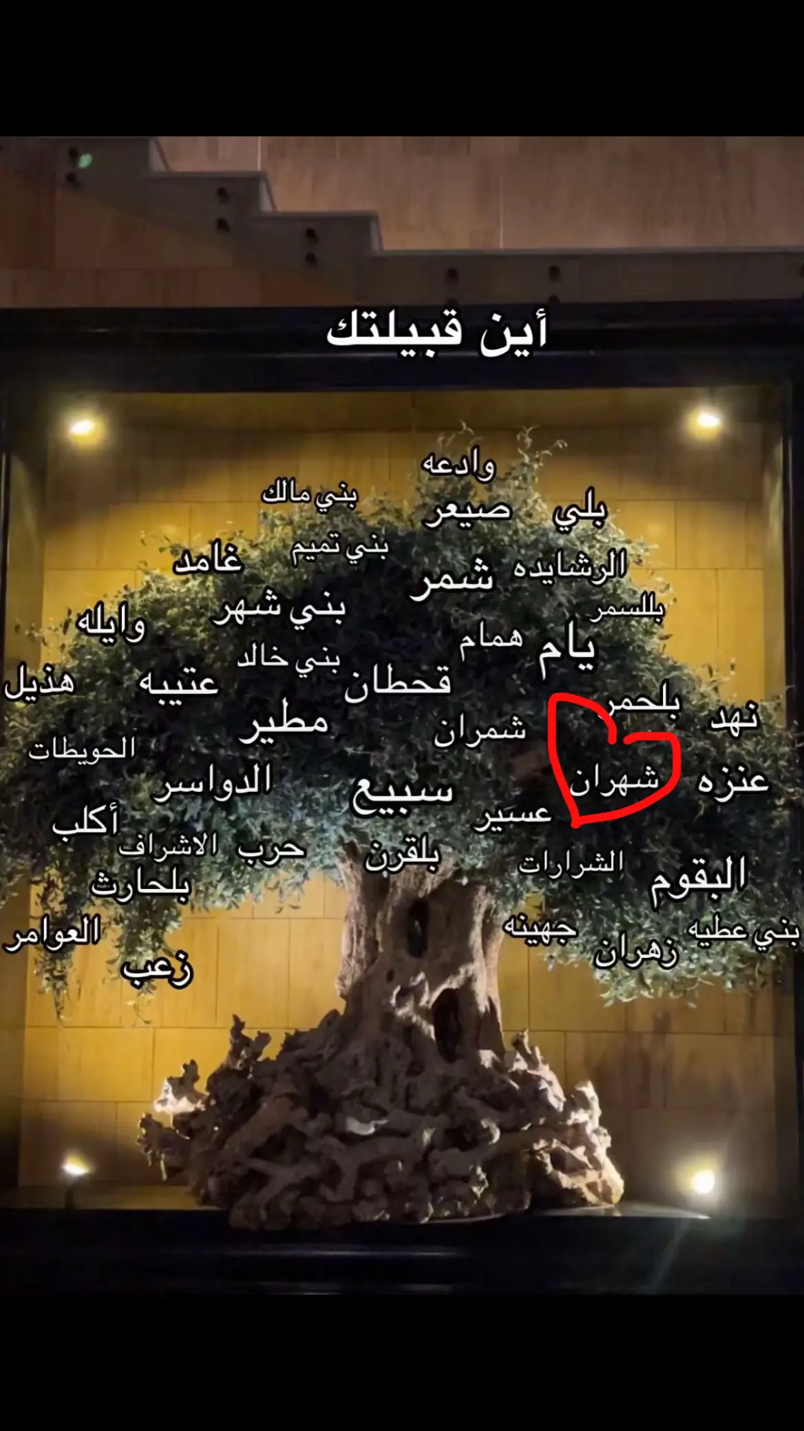 #شعب_الصيني_ماله_حل😂😂 #شهران507 #ترند 