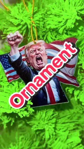 #christmas #ornament #maga #trump #trump2024 #trump2024🇺🇸 #fy #fyp #fypシ #treasurefinds #TikTokShopHolidayHaul #TikTokShopBlackFriday #TikTokShopCyberMonday  #FallDealsForYou #christmastree #christmas2024 