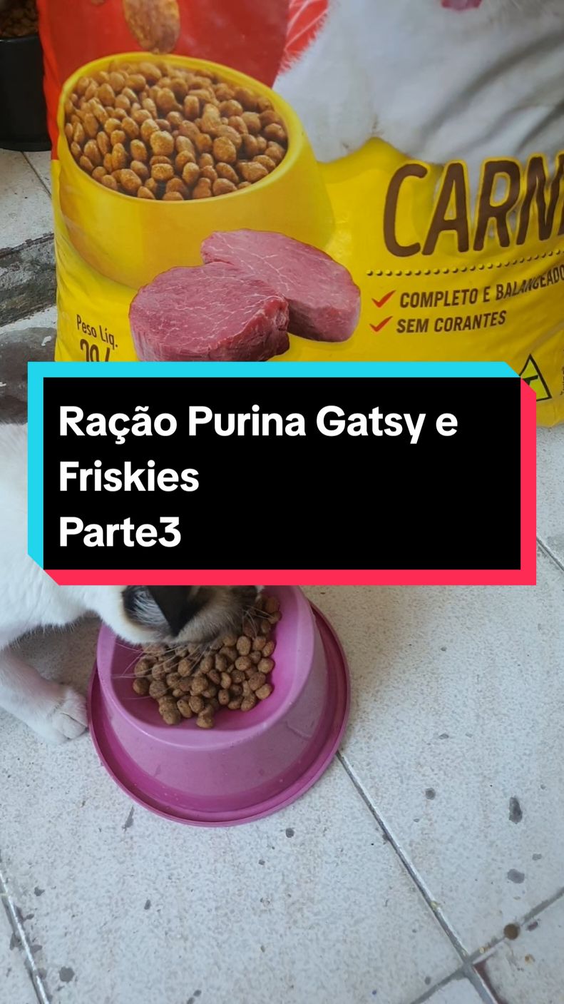 Ração Purina Gatsy e Friskies Parte03 #gatosgraciosos  #gato  #racao #pet 
