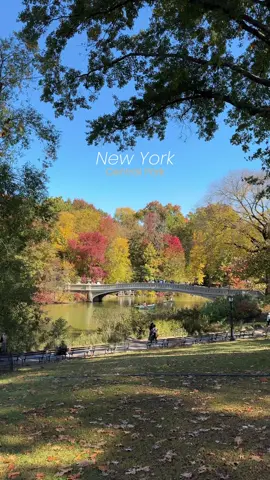 Fall in Nyc🍂
