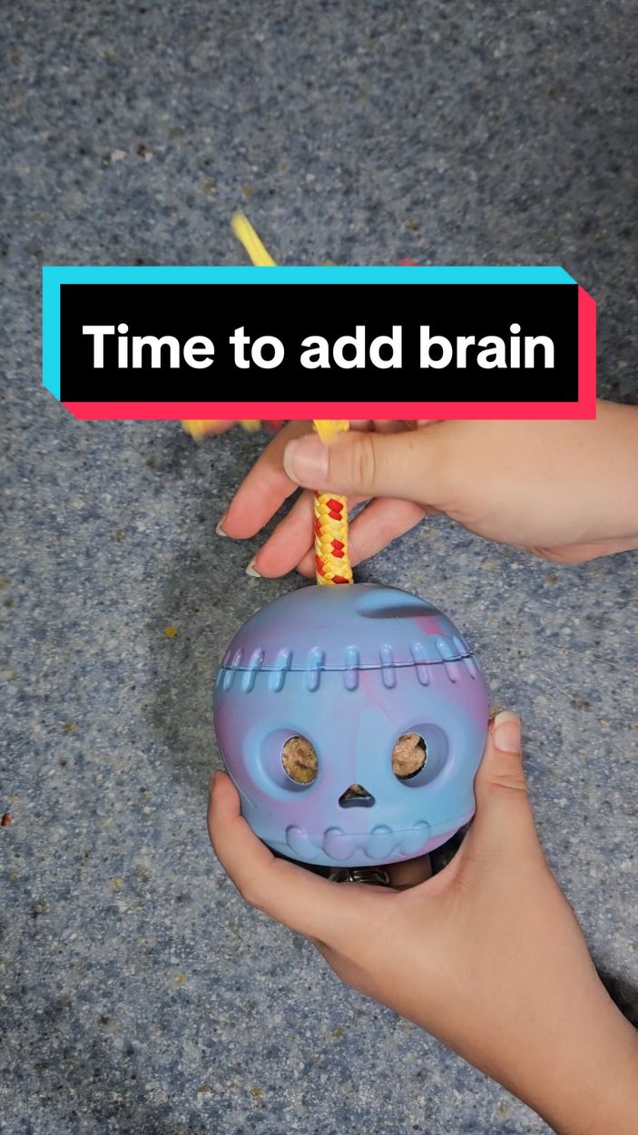 It's time to add the brains to this skull. It's such a cute dog toy. #dogtoy #brains #skull #blue #cute #toy #entertainment #dogtoymusthave #dogmusthaves #musthaves #tiktokshopcybermonday #TikTokShop #tiktokshopfinds #fyp #FYP #fypシ #tiktokshopholidayhaul #tiktokshopblackfriday #spooky 