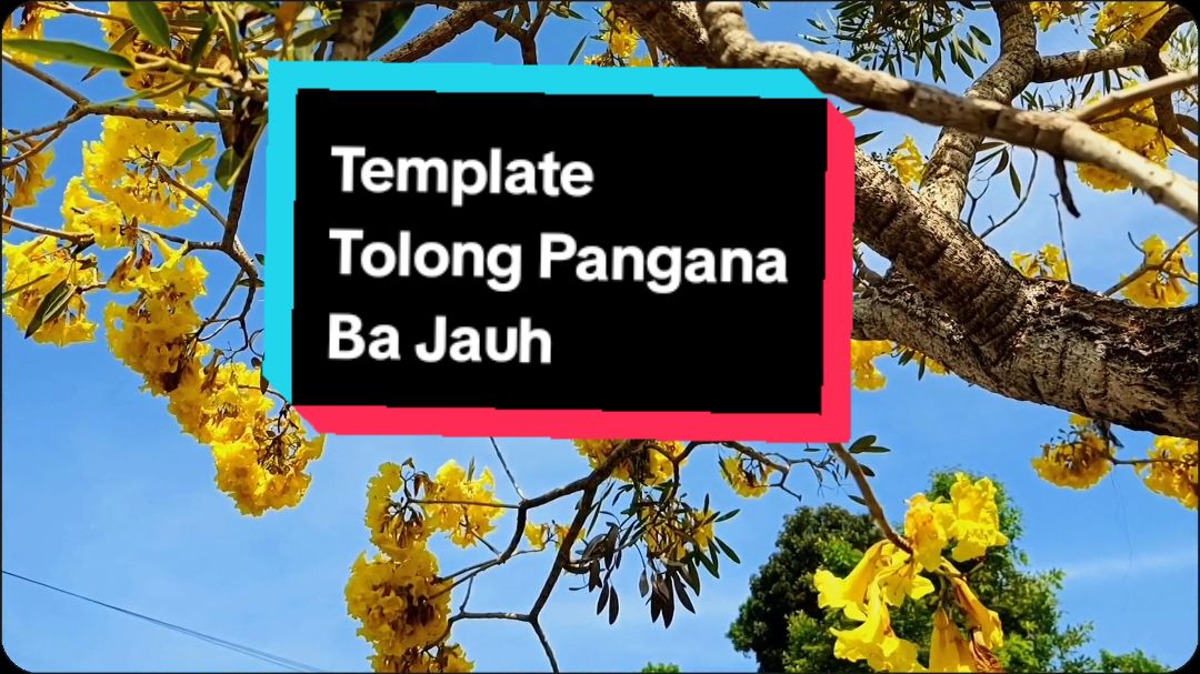 Template Cinematic Tolong Pangana Ba Jauh. #CapCut #templatecapcut #cinematic #aesthetic #cinematography #ALSTORY🌿 #infinixzeroultra #cinematicvideo 