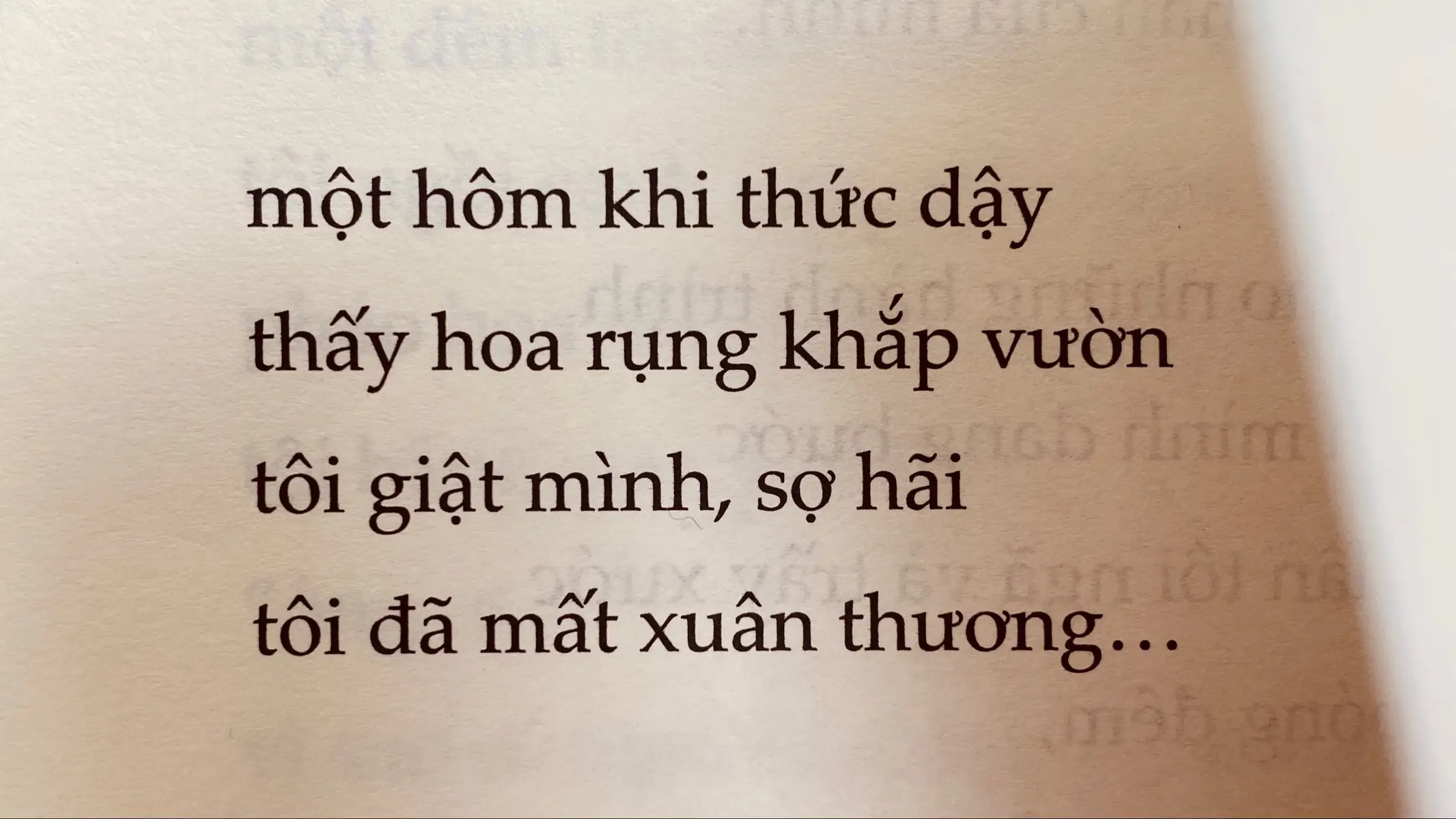 Cái chết đã chia lìa con và ngoại... #BookTok #thuangoaiconmoive #LearnOnTikTok #tronlemainhadekhoc #TuSachTikTok 