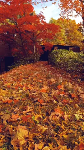 #Beautiful 