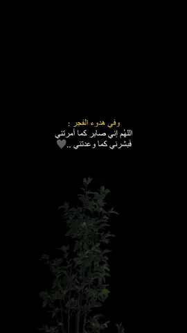 - وفي هدوء الفجر: ف بشرني كما وعدتني يا الله...🤍✨ #مقاطع_دينية #أكتب_شي_توجر_عليه #لاتنسى_ذكر_الله #حالات_واتس #أكتب_شي_توجر_عليه #قرآن #عبدالرحمن_مسعد #لايك_متابعه_اكسبلور_تعليق_مشاركة 