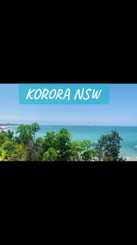 #nsw #Australia #fyp #korora #springtime #beach #beachwalk #midnorthcoast #solitaryislandscoastalwalk 