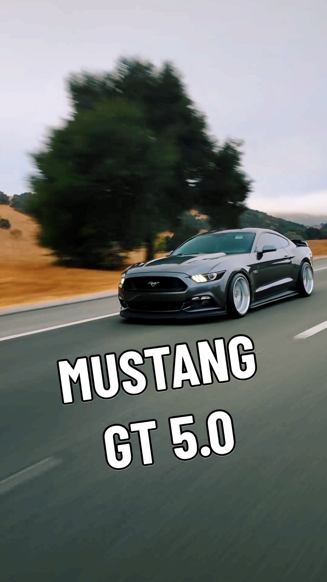 FORD Mustang GT 5.0 SOUND #cupcut #fordperformance #fordmustang #fordmustanggt #ford #fordracing #fordcar #carporn #fordmustangs #fordmustangmach1 #mustangmach1 #mustang #mustanggt #mustangfanclub #carsofinstagram #carswithoutlimits #carsovereverything #cartuning #tuning #car #cars #carspotting #carlifestyle #carphotography #carphotographer #editor #photo #photography #photoshoot #photoshop #shelby #shelbygt500 #shelbyfamily #fordmustangshelbygt500 #fordmustanggtd #mustanggtd #wraping #carvideos #carvideography #v8 #v8power #shelbygt350r #mustangdarkhorse