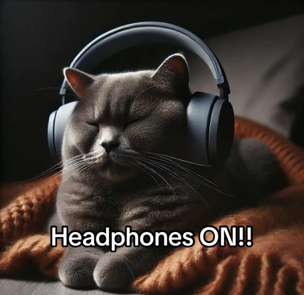 Shameless in 8D!! 🎶🥷 | Headphones or earbuds ON!! 🎧🙏 | Tags -> #music #audio #8dmusic #8daudio_8d #8daudio #musicify8d #8d #music8d🎧 #music8d #playlist #spotify #fypシ゚ #headphones #headphoneson #headphonesrecommended 