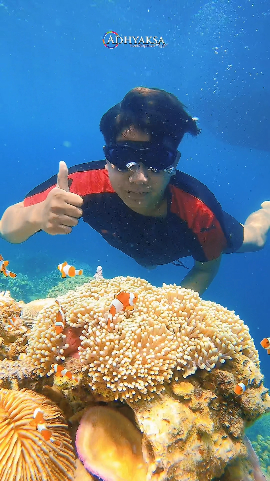 KarimunJawa vibes part 2 #karimunjawaopentrip #karimunjawaisland #karimunjawa #pesonaindonesia