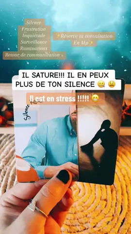 ✨ ton silence, le rend dingue 😬 il va revenir à la communication✨ #tiragedecarte #guidancesentimentale #tiragesentimental #cartomancie #tirage #voyance #prediction #cartomancienne #voyante #voyancetiktok #oracle #oracletiktok 
