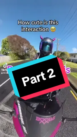 Here’s the part 2 you’ve all been waiting for! 🩷 You guys blew up the first part of the video and managed to find them! I kept my promise and took them for a ride!  They were so kind to also gift me with some ears 🐱 check them out! 🩷 @Puzzle P4ws  #fyp #kawasaki #ninja650 #discover #discovery #part2 #wefoundthem #bikerchick #pink #nz #reels #motorcycle #cute #wholesome #backpack #leds #wrap #purple #TikTok #bikergirl