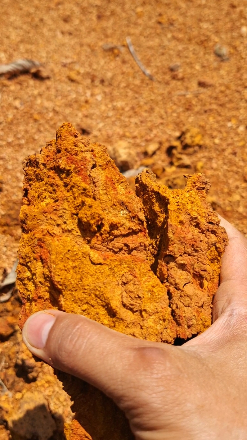 Wow..‼️😱😱 This is one of the characteristics of soil containing gold. #goldprospecting #golddiscovery #goldrush #goldnugget #goldhunter #goldhunters #golddredging #eagoldhunter #goldhunt  #goldhuntergame  #goldhunterhelp  #goldhuntertier1 #hunter  #goldhuntersmart  #goldhuntersguide  #goldhunterguides #goldhunterdevice  #goldnuggethunter #hunters #aussiegold #hunters #goldhunterstarted #goldhunterthegame #goldhunting #goldhuntertestplay #goldhuntertestplay #goldhuntergameplay #armangoldhunting #goldhunterconcerns #testplaygoldhunter #armangoldhunting 