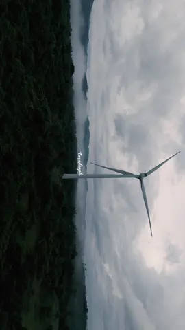 Piece of heaven. #fyp #bangui #windmill #dji #mini4pro #ilocosnorte