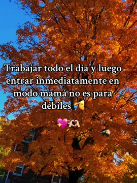 Buenas buenasss 😁🙋🏻‍♀️ #fy #Parati #felizmiercoles #vamonosalatrabajacion #paratiiiiiiiiiiiiiiiiiiiiiiiiiiiiiii #😎 