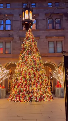 Nothing like Christmas in NYC! 🎄❤️❄️✨🎅🗽 . . . #christmas2024 #christmas #cozychristmas #christmasvibes #christmastree #christmasmood #christmasdecor #nyc #christmasinnewyork #theplazahotel #5thavenue 