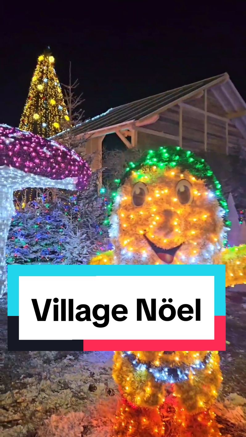 Village de Noel Pueblo del Sur de Francia donde podras pasar el dia en familia o con amigos. A unas 2 horas y media de Barcelona  Apertura el 16 de Noviembre  Coste medio 5€ por persona #lebarcares #barcares #lebarcares #noel #village #france #papanoel #Navidad #crhistmas #merycristmas #pueblonavideño #nieve #snow #wanderlust 