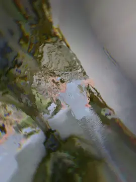 #tt #tiktoknews 