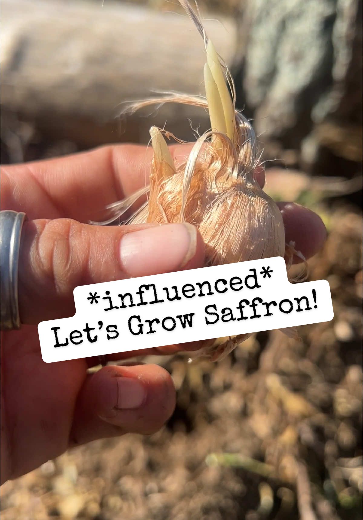 I couldnt help myself… the algorithm kept sending me the @She’s Rooted Home saffron bulbs and I just neeeeded it. Its all part of the plan… grow it all if I can. #saffron #saffroncrocus #shesrootedhome #growyourown #growingspices