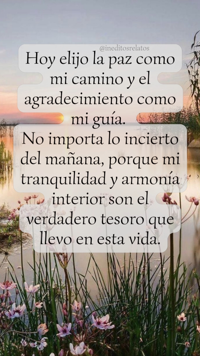 Hoy elijo la paz como mi camino y el agradecimiento como mi guía.  #Reflexion #Frases #Relatos #Historia #paz #camino #agradecimiento #guia 