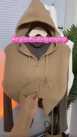 Áo gile mũ #xuhuongtiktok #aogilemu#gile#phoidoxinh #outfit 