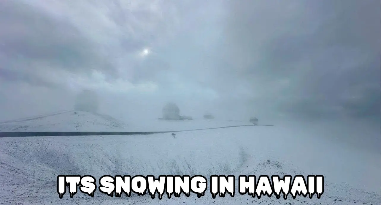 Its snowing in hawaii #fyp #hawaii #snow 