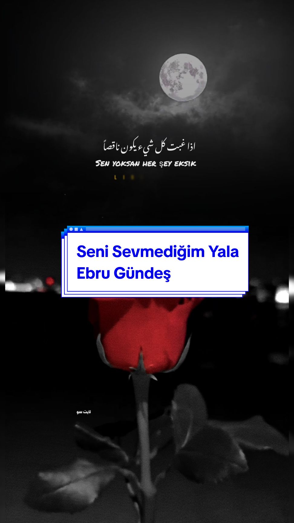 Seni Sevmediğim Yalan Ebru Gündeş  #sevmediğimyalan   #ebrugündeş #ايبرو_جونديش #اغاني_تركية_مترجمة #لايت_سو #اكسبلور #lightso9 #fyp 