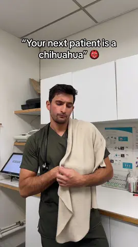 You already know we got the muzzle on hand 😂❤️ #vet #chihuahua #vetmed #dogs 