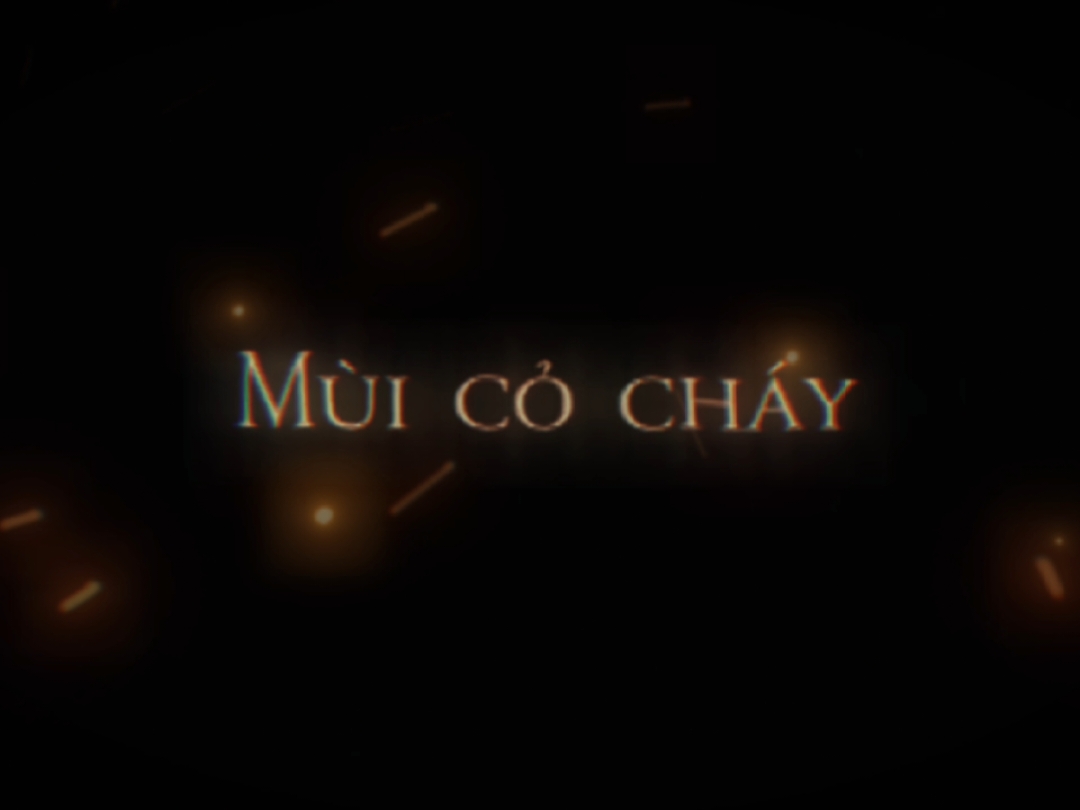 Tuổi hai mươi thì ai chả tiếc, nhưng ai cũng tiếc tuổi 20 thì còn chi Tổ quốc! 🇻🇳 #muicochay #edit #lichsuvietnam 