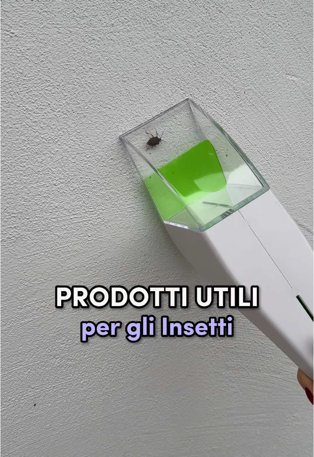 Cattura gli Insetti 🪲 | LINK IN BIO  #amazonitalia #prodottiutili #prodottiamazon #accessoricasa #insetti #cimice 