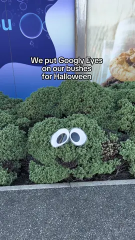 Spooky season 👻👁️ #halloween #eyes #fyp #viral #trending #spooky #halloweendecor 
