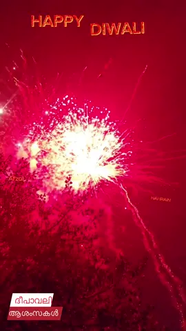 Happy Diwali 🪔#Diwali #deepavali #ദീപാവലി 