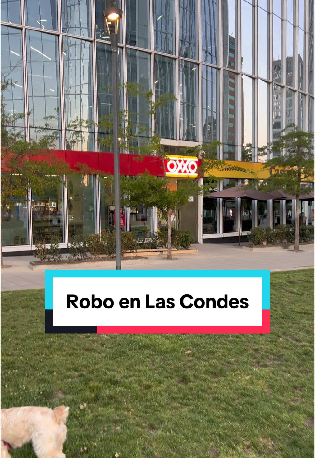 ¿Están robando en Las Condes? 🙄 | #lascondes #chile #santiagodechile #oxxo 