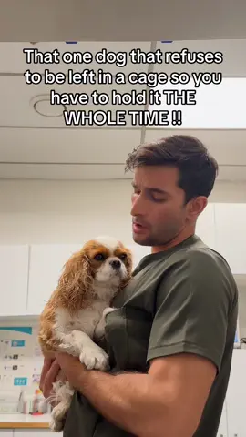 Some dogs really cry the whole time if you leave them in a cage … like this little baby who needs to get the vets attention the whole time !! #dog #vet #cavalierkingcharles #vetlife