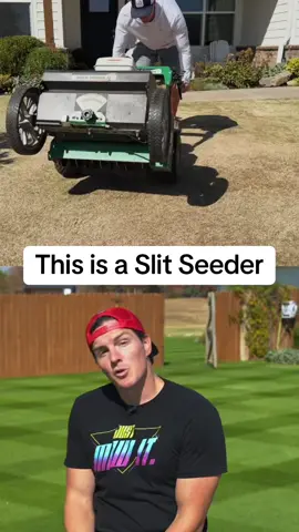 Slit Seeder - my rye overseed went very well this year…. Aaaaand now I want to buy one 😂 #slitseeder #falloverseed #lawnseed