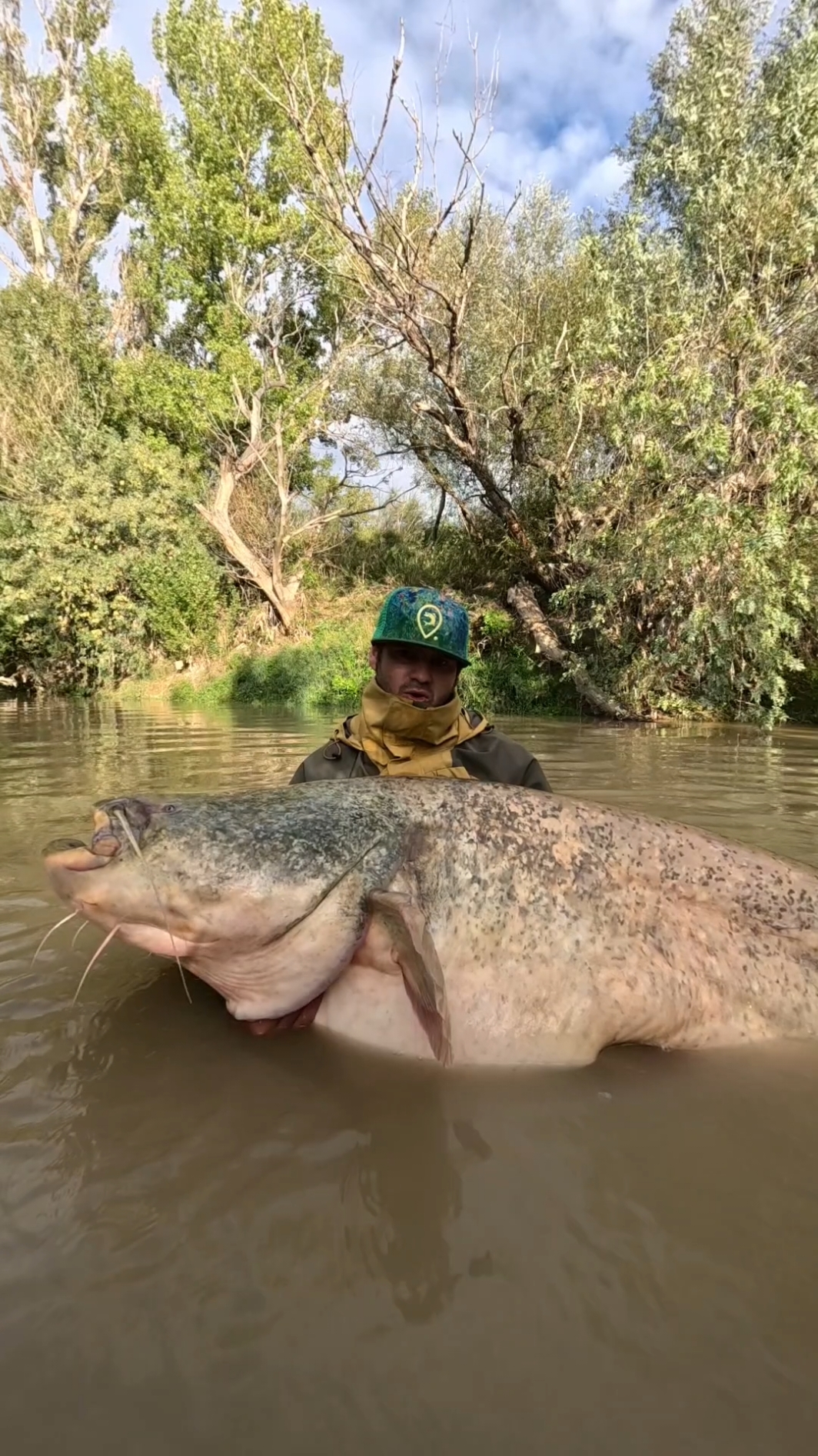 Monster Catfish 🔥🔥 #fishing #pesca #wędkarstwo #catfish #siluro #sum 