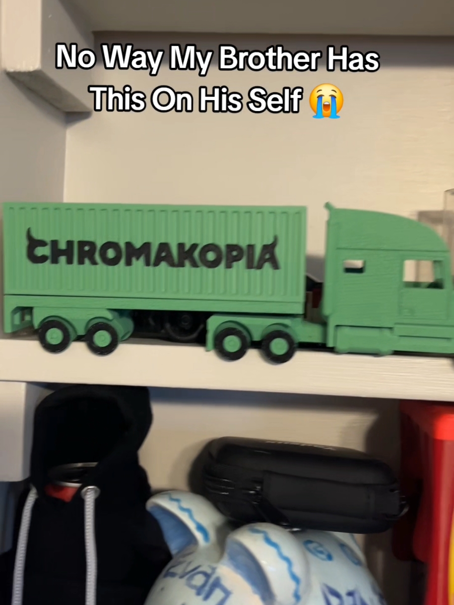 Nah My Brother Had This On His Shelf 😭 #tiktokmademebuyit #foryou #tiktokmademebuyit #tylerthecreator #chromakopia #newalbum #keychain #gift #album #fyp #TikTokShop #tiktokshopfinds #merch #chromakopiaalbum #new #music #cool #truck #trailer 