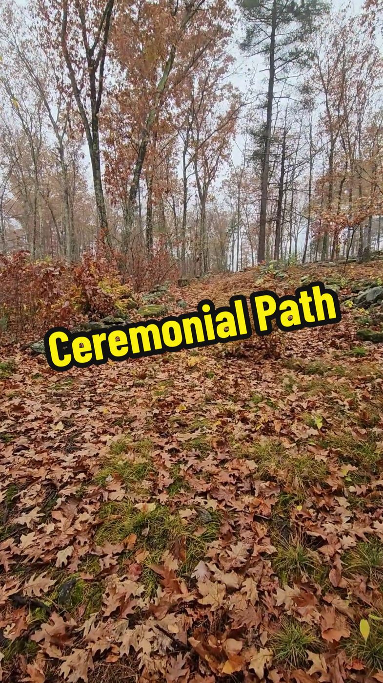 There may be a ceremonial path hidden among the ruins of America's Stonehenge. This series of walls would have directed ancient visitors to a large open space within the main site. If these paths were used simply for crowd control or for a ritual procession, those walking on the path would end up in the best spot to view or take part in ceremonies happening within the site itself. We hope that further research of these pathways may reveal their intended purpose, or uncover what sorts of celebrations were occurring here at America's Stonehenge. #americasstonehenge #history #ancienthistory #stonewall #stone #ancientsites #museum #historymuseum #archaeology #ritual #ceremony 