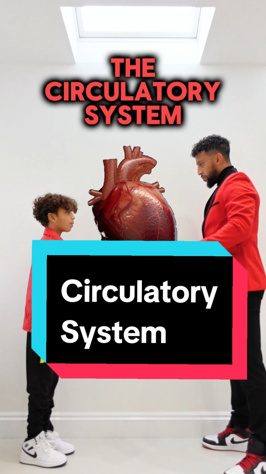 GCSE Biology. The circulatory system explained 🎃 #arteries #veins #blood #circulation #heart #heartbeat #lungs #rappingteacher   #gcse #stem #school #science #combinedsciencegcse #biology  #halloween  #TikTokforGood #TikTok_Partner 