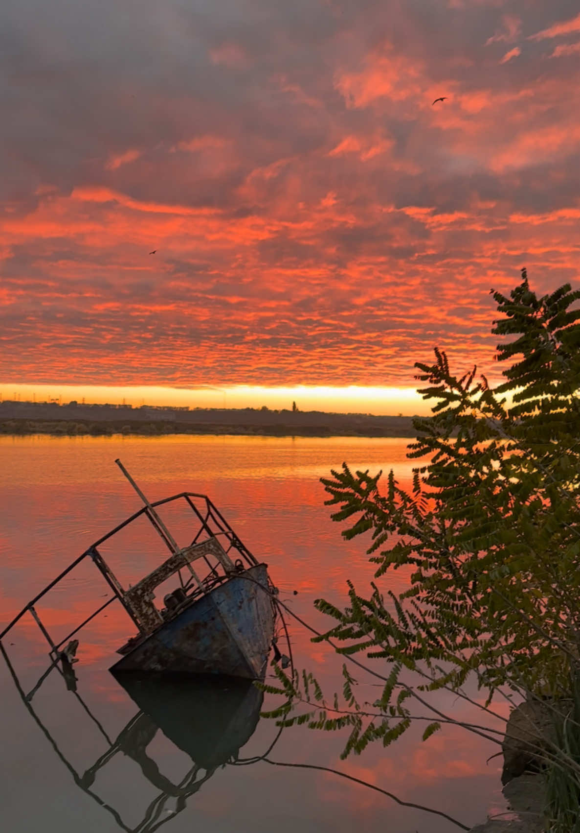 Коротко о том как я поехал на рыбалку🎣 Завораживает 🌅#рассвет #утро #природа #україна 